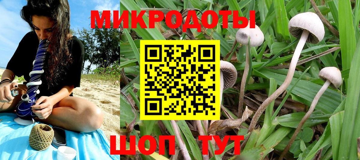 Галлюциногенные грибы Magic Shrooms  Вход с VPN  Псилоцибиновые грибы ЛСД  Павловский Посад 